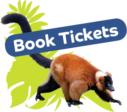 Buy tickets